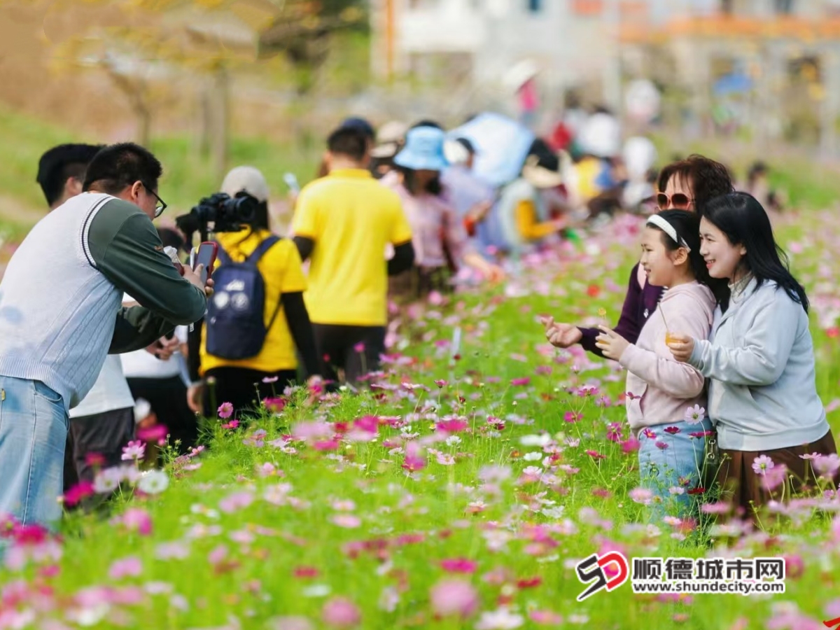 图片1_副本.jpg
