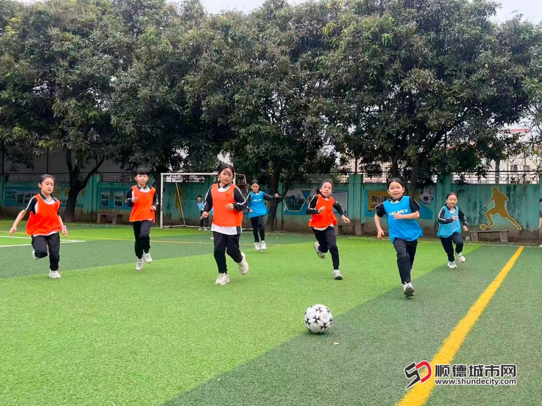 20.以球健体，筑牢健康基石.jpg