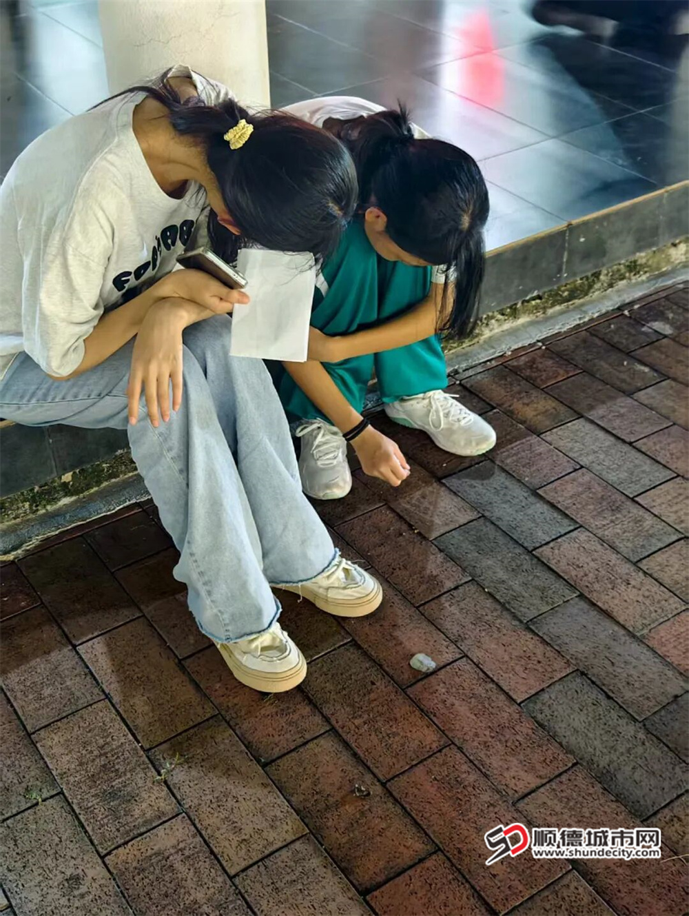 微信图片_2026-05-20_223719_406.jpg